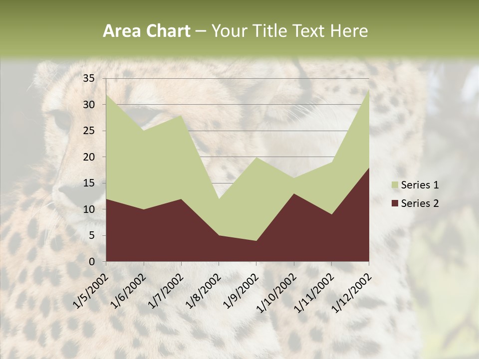 Cheetah Closeup Nature PowerPoint Template