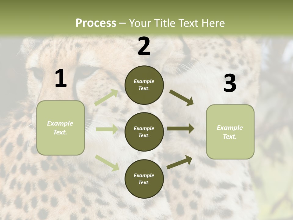 Cheetah Closeup Nature PowerPoint Template