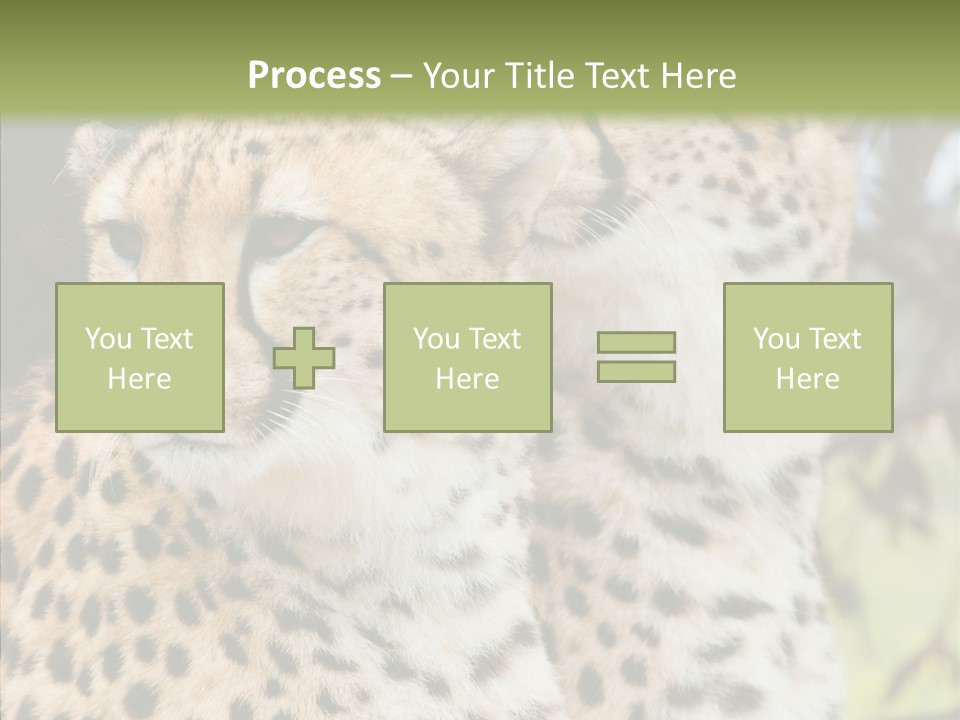 Cheetah Closeup Nature PowerPoint Template