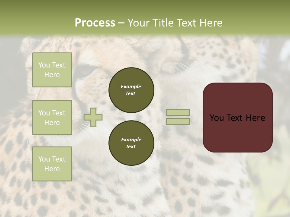 Cheetah Closeup Nature PowerPoint Template