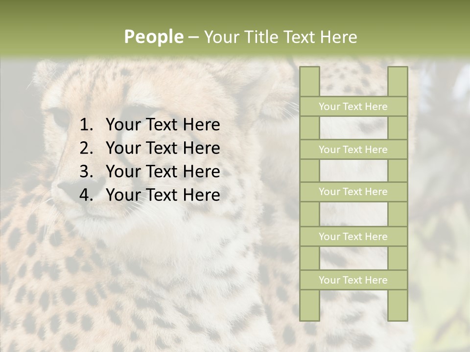 Cheetah Closeup Nature PowerPoint Template
