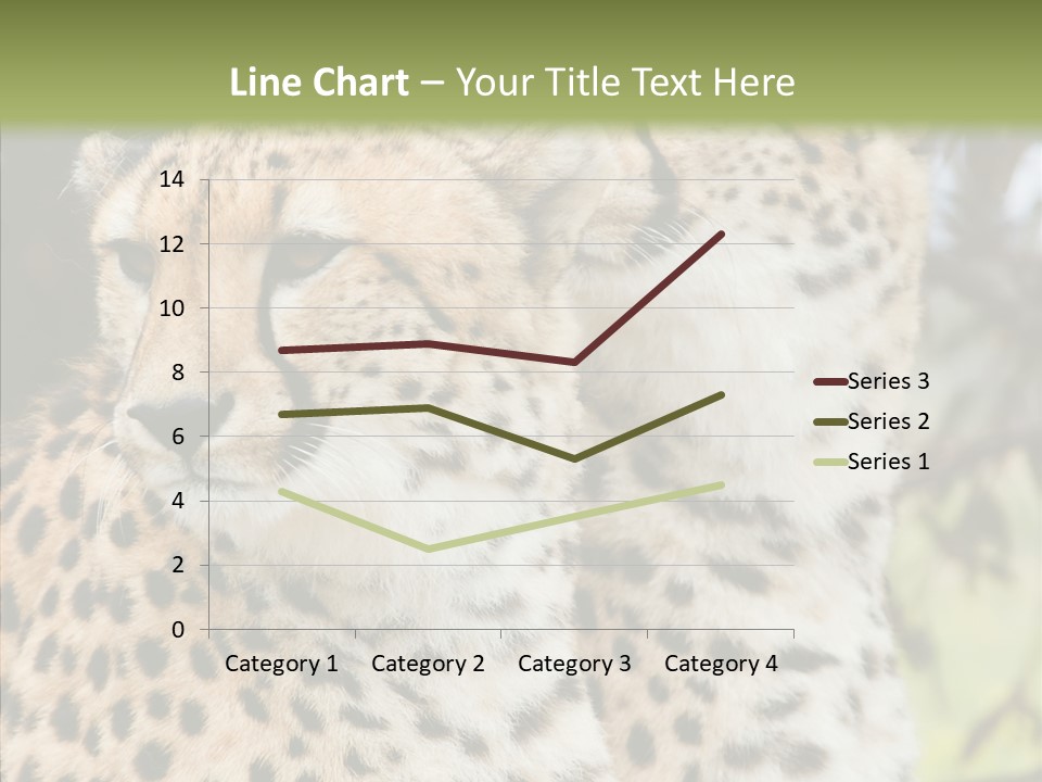 Cheetah Closeup Nature PowerPoint Template