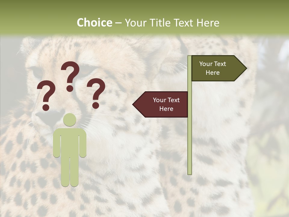 Cheetah Closeup Nature PowerPoint Template
