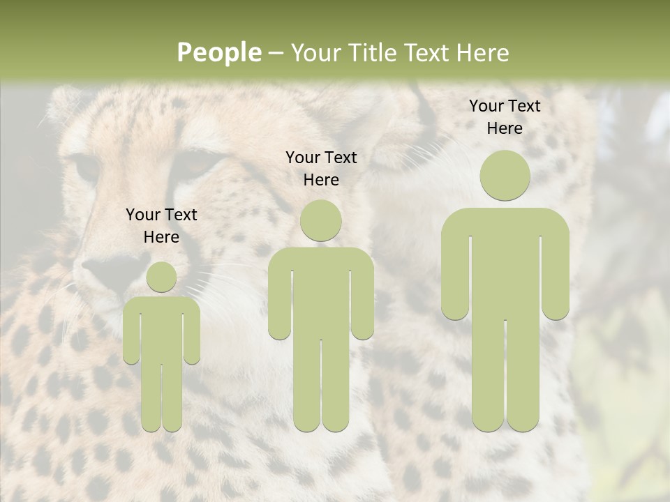Cheetah Closeup Nature PowerPoint Template
