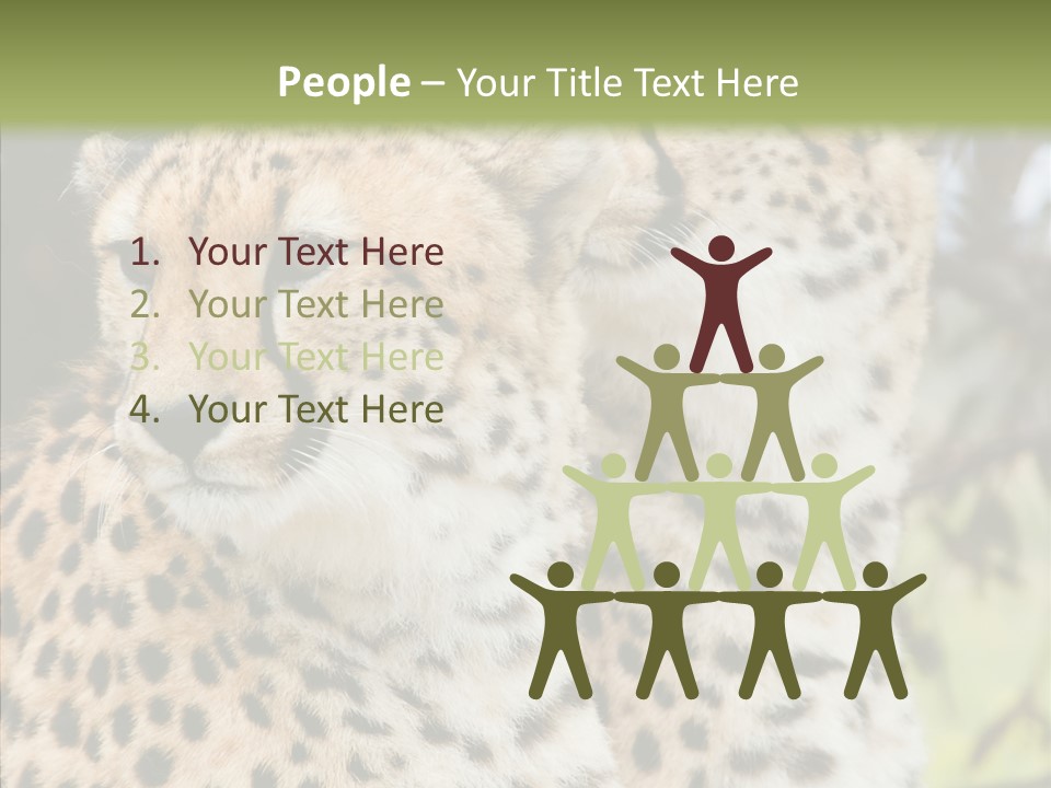 Cheetah Closeup Nature PowerPoint Template