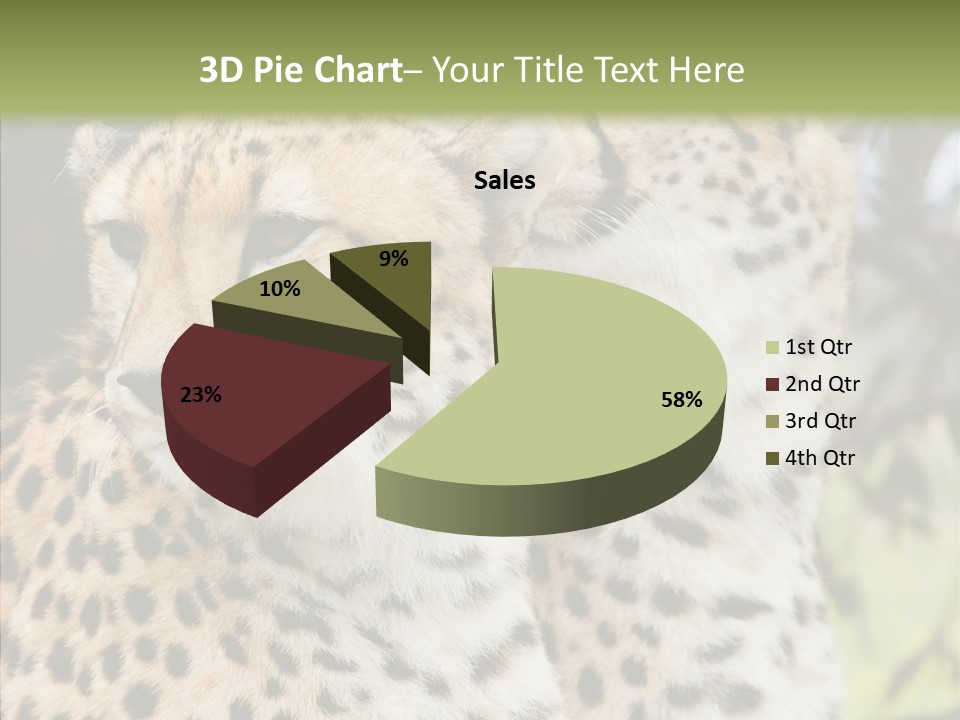 Cheetah Closeup Nature PowerPoint Template