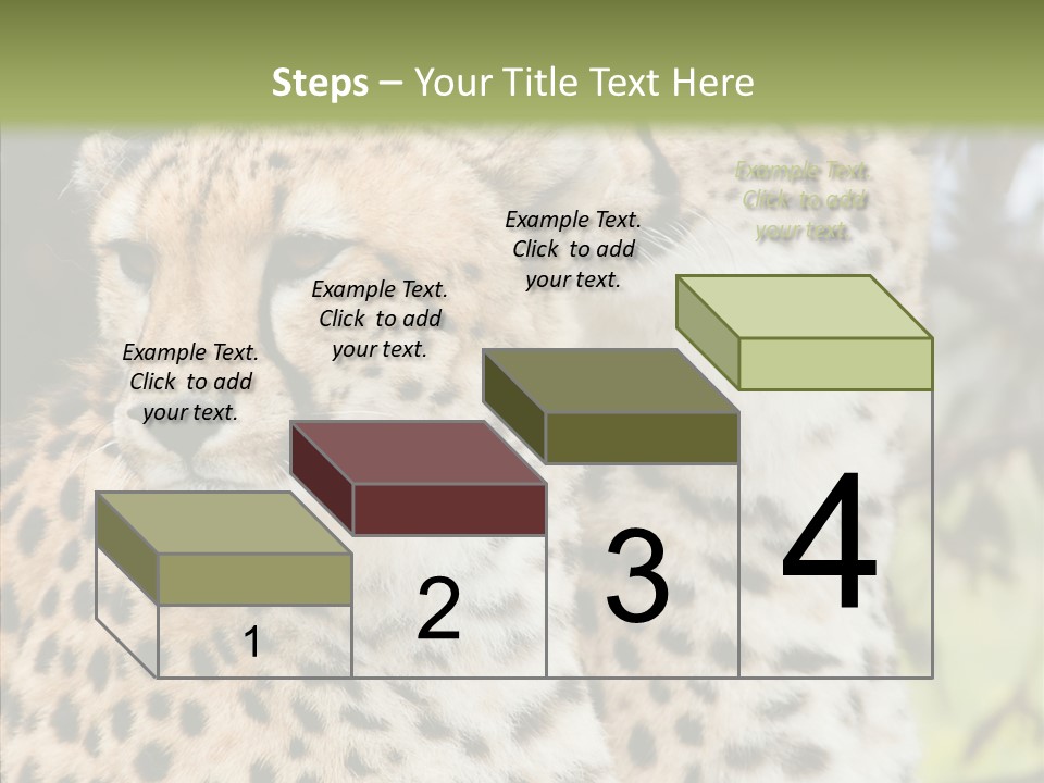 Cheetah Closeup Nature PowerPoint Template
