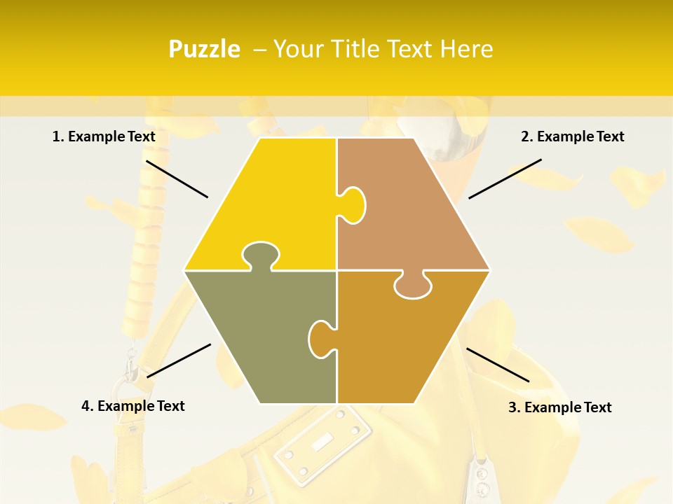 Elegance Retail Handbag PowerPoint Template