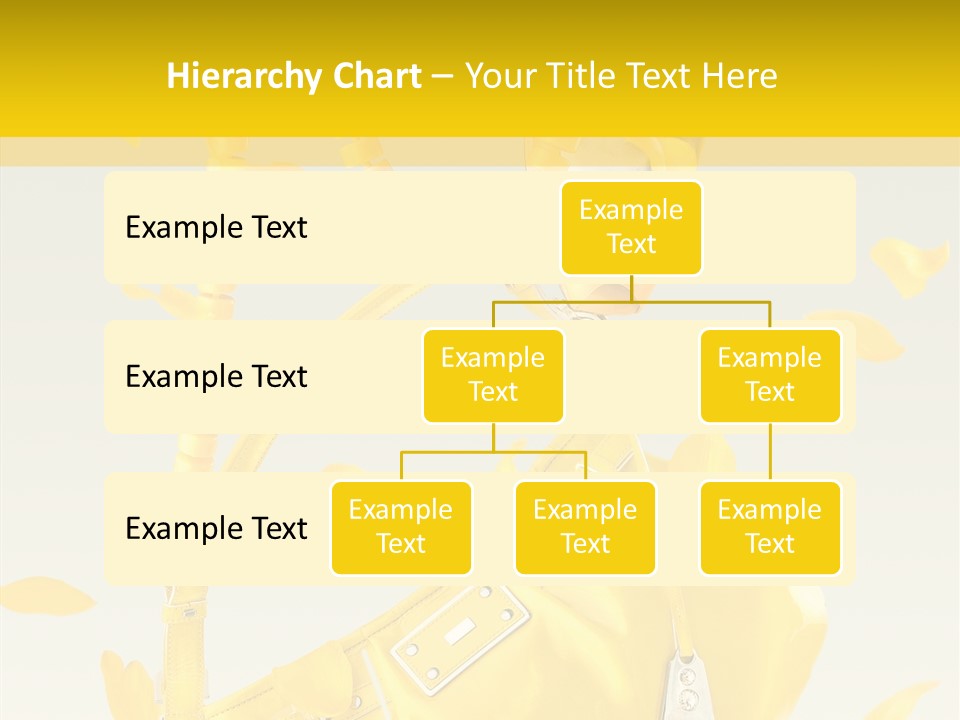 Elegance Retail Handbag PowerPoint Template