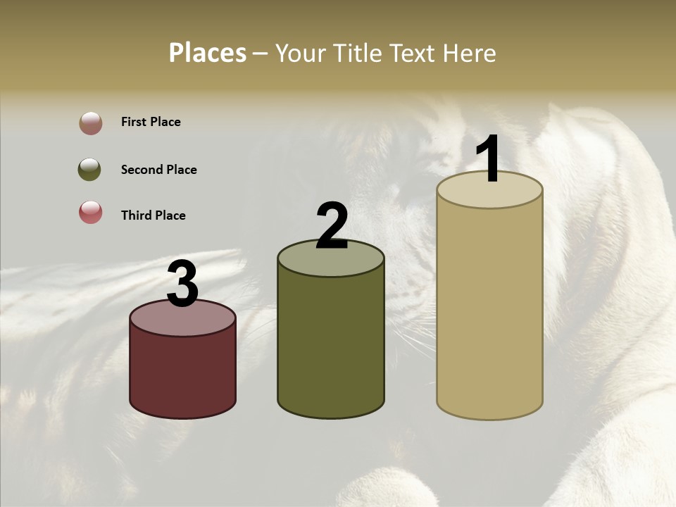 Humor Per On Human PowerPoint Template