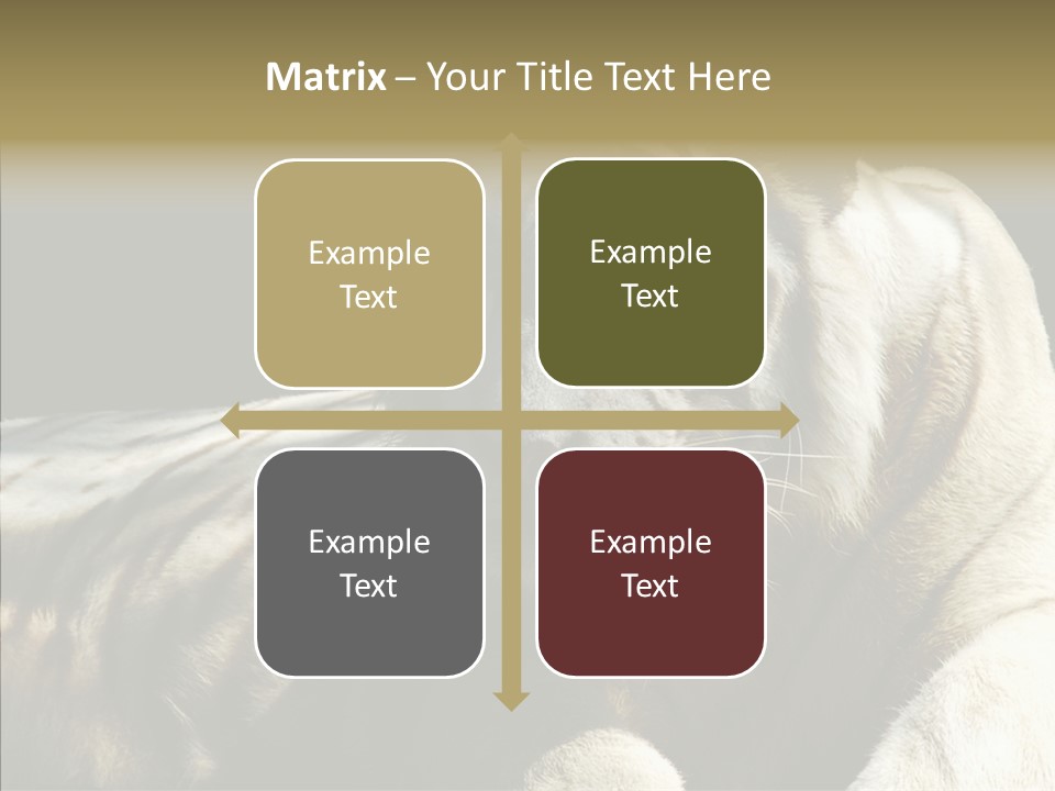 Humor Per On Human PowerPoint Template