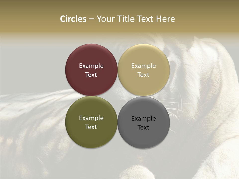 Humor Per On Human PowerPoint Template