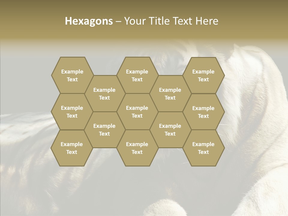 Humor Per On Human PowerPoint Template