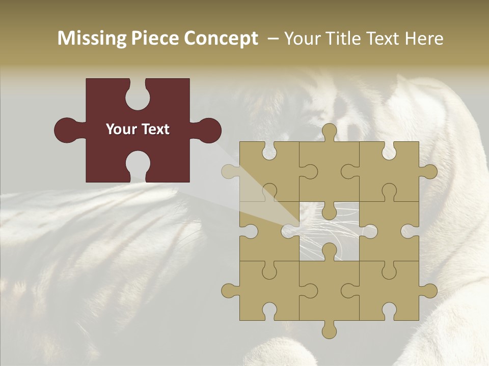 Humor Per On Human PowerPoint Template