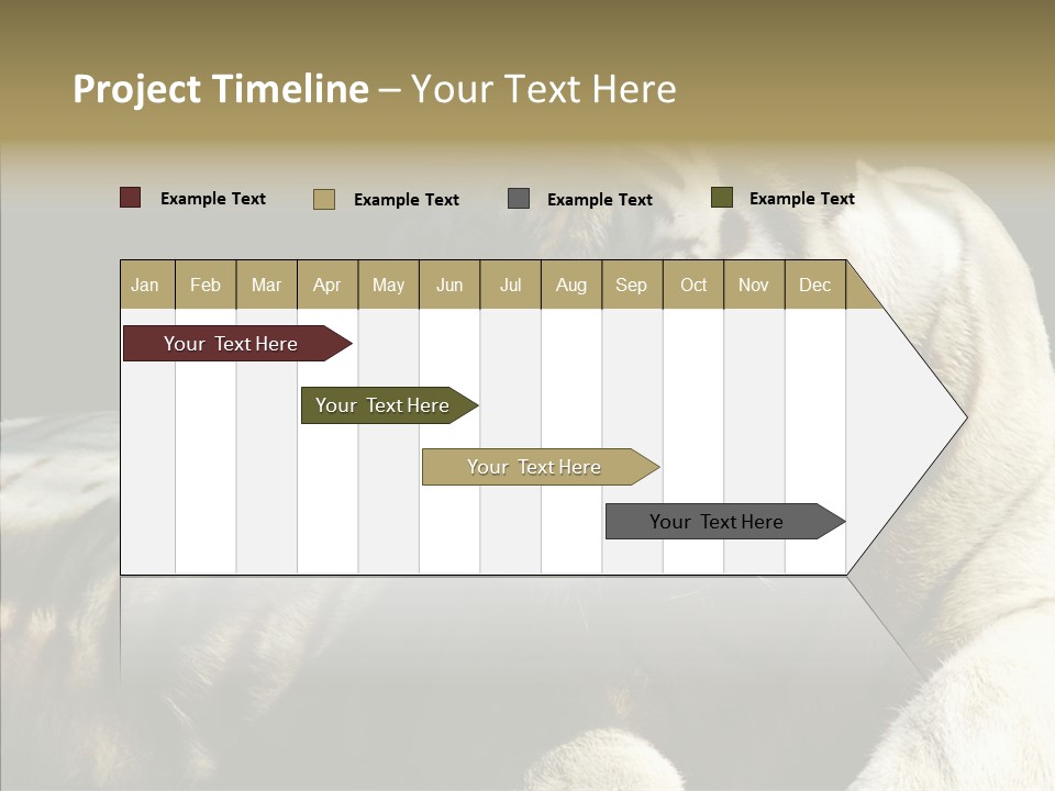 Humor Per On Human PowerPoint Template