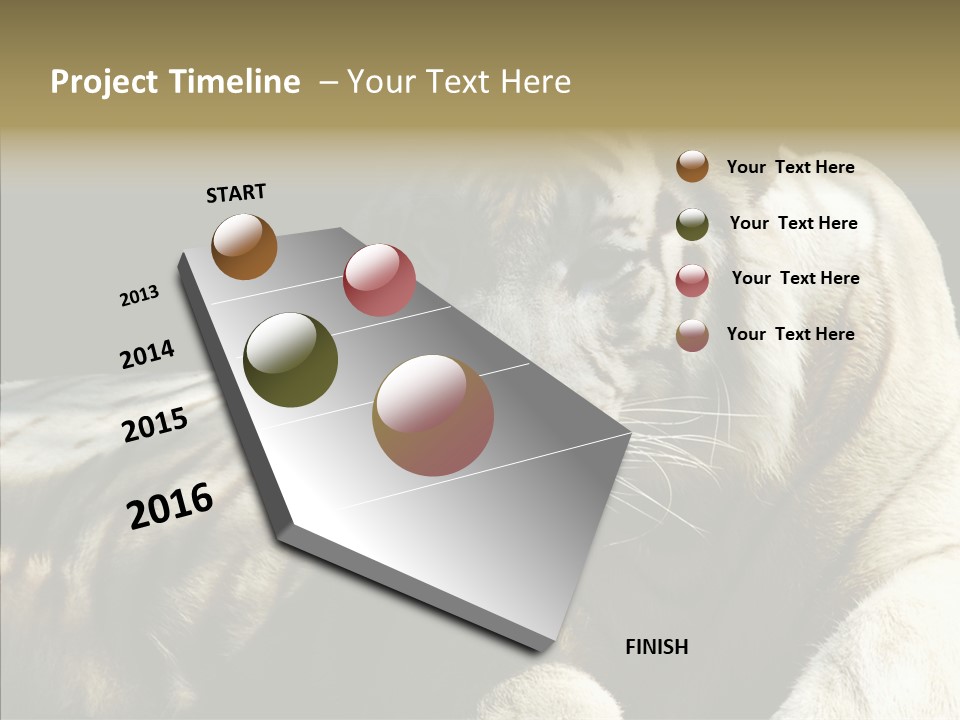 Humor Per On Human PowerPoint Template