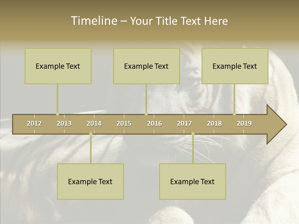 Humor Per On Human PowerPoint Template