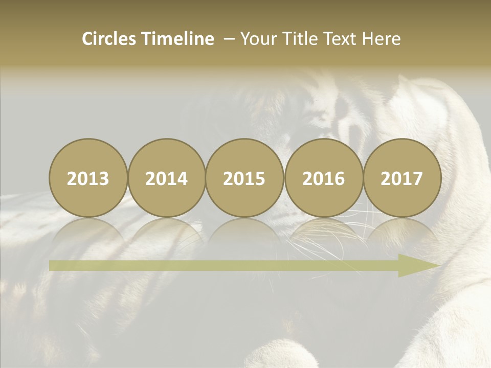 Humor Per On Human PowerPoint Template