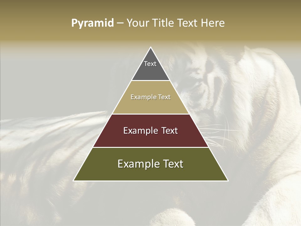 Humor Per On Human PowerPoint Template