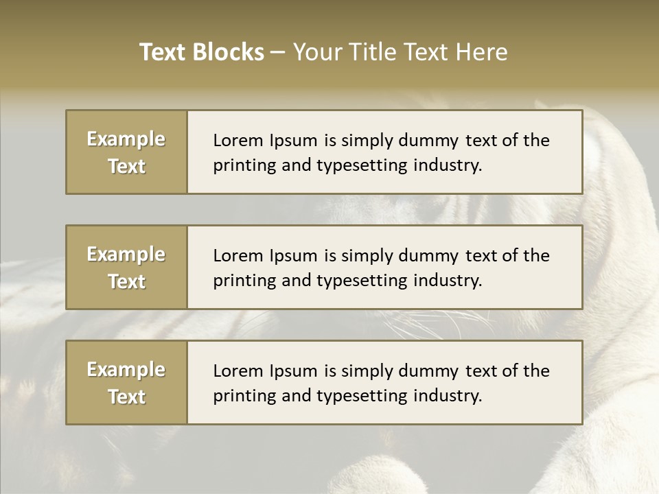 Humor Per On Human PowerPoint Template