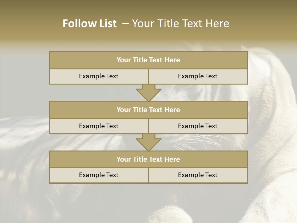 Humor Per On Human PowerPoint Template