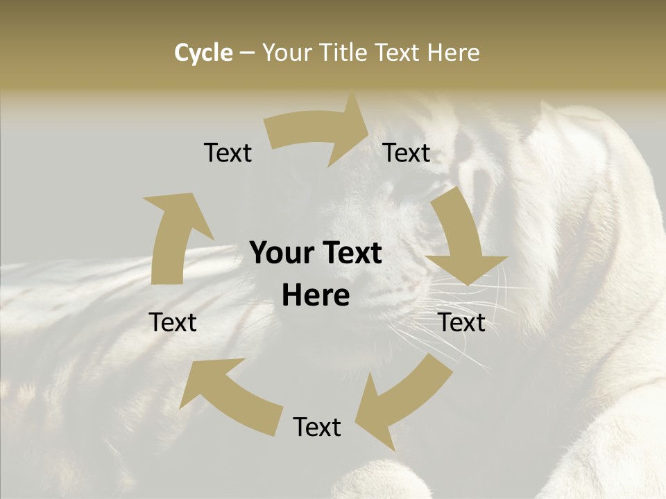 Humor Per On Human PowerPoint Template