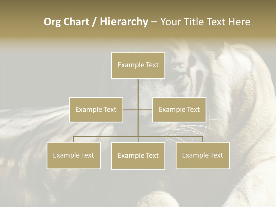 Humor Per On Human PowerPoint Template