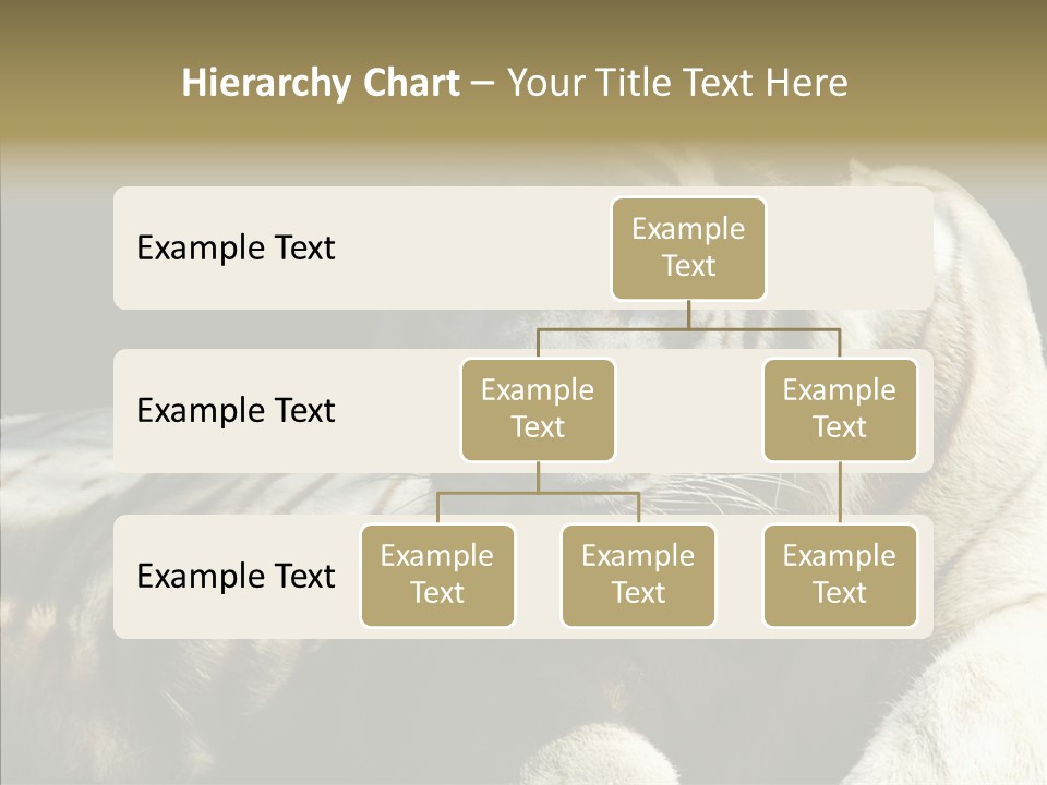 Humor Per On Human PowerPoint Template