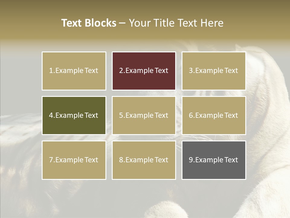 Humor Per On Human PowerPoint Template