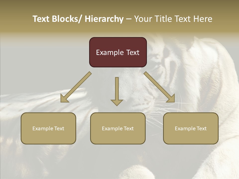 Humor Per On Human PowerPoint Template