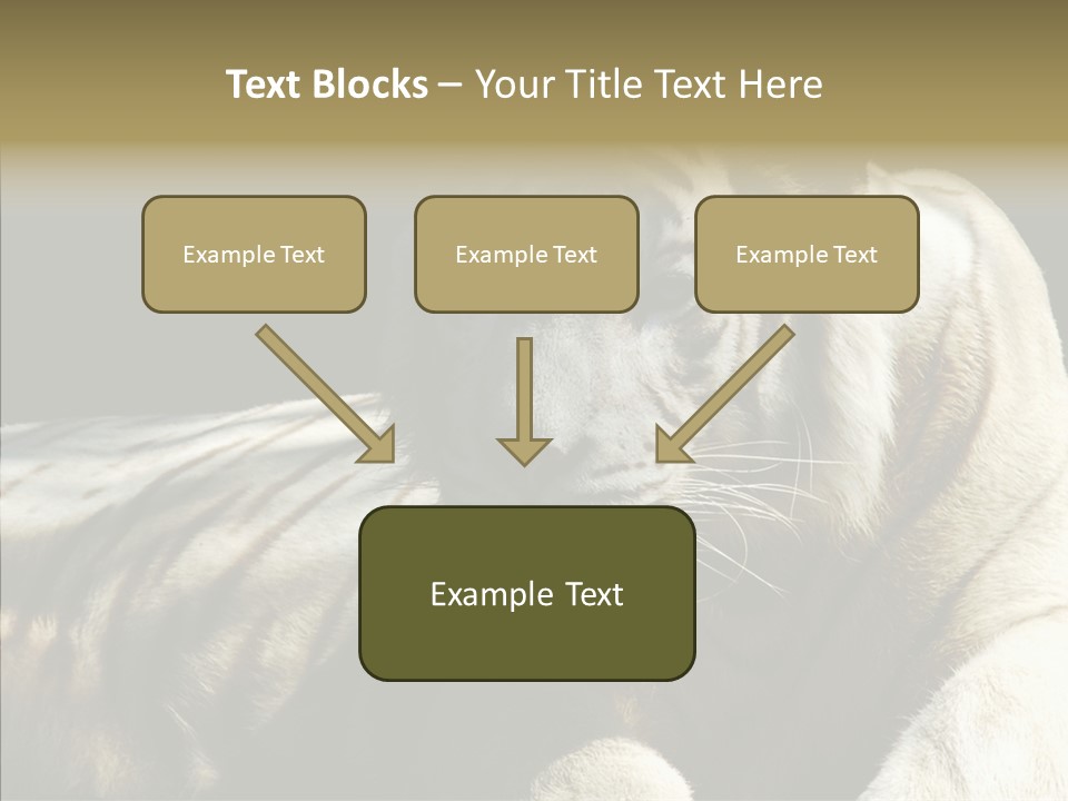 Humor Per On Human PowerPoint Template