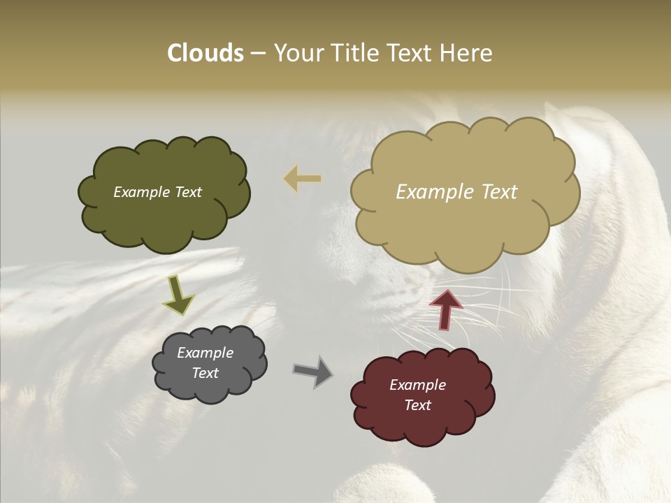Humor Per On Human PowerPoint Template