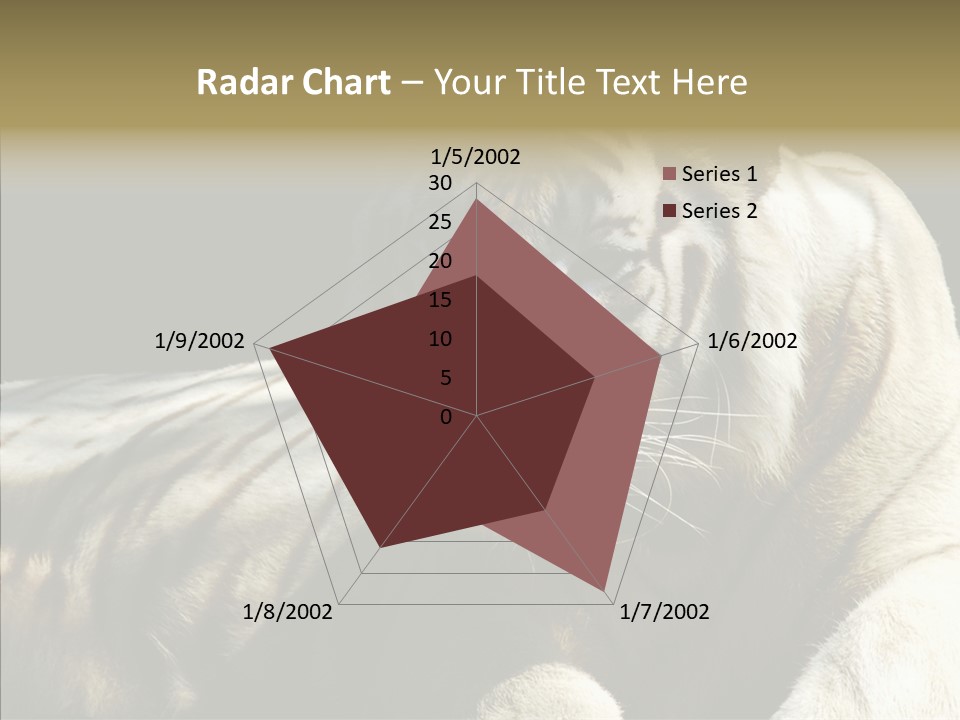 Humor Per On Human PowerPoint Template