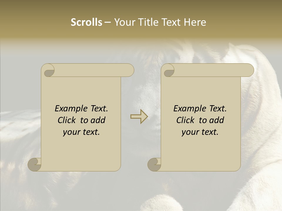 Humor Per On Human PowerPoint Template