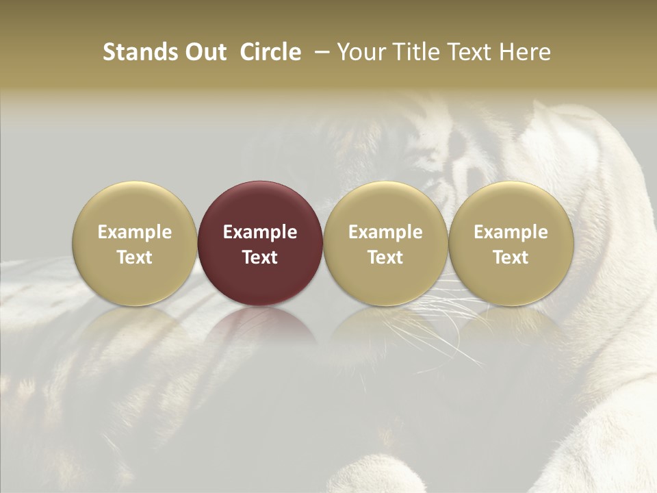 Humor Per On Human PowerPoint Template