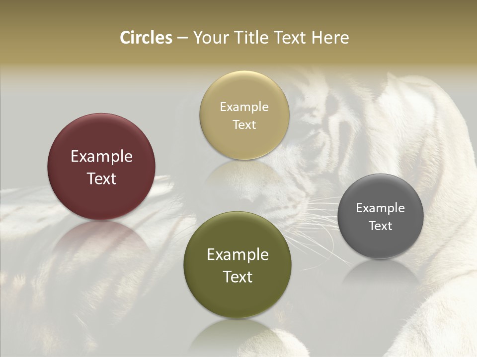 Humor Per On Human PowerPoint Template