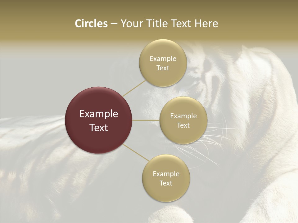 Humor Per On Human PowerPoint Template