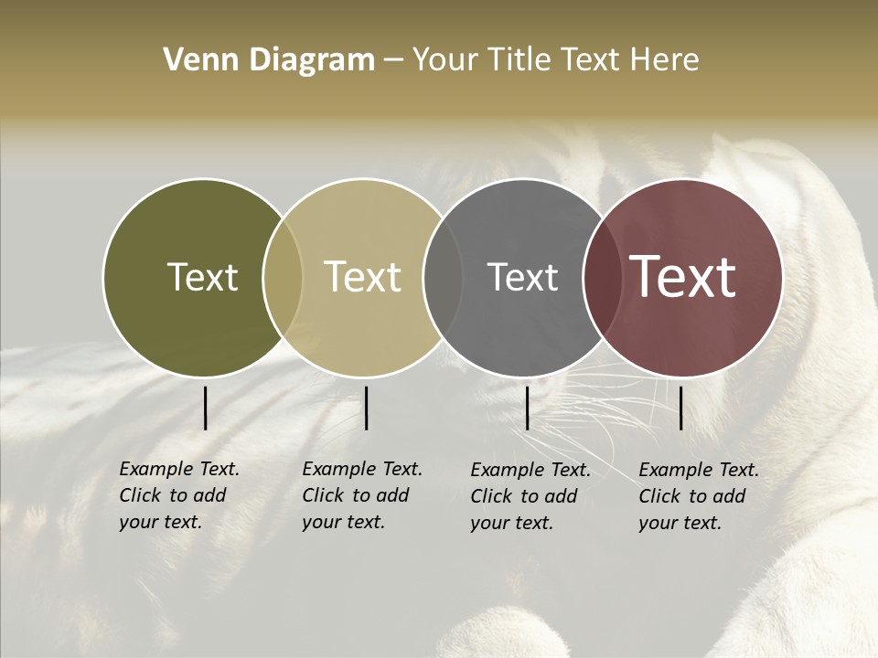 Humor Per On Human PowerPoint Template