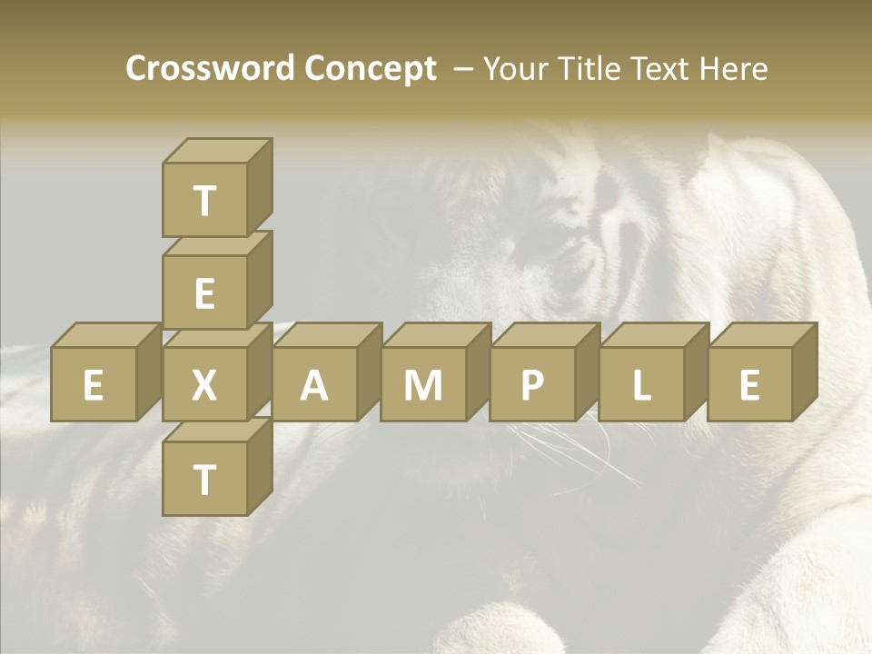 Humor Per On Human PowerPoint Template