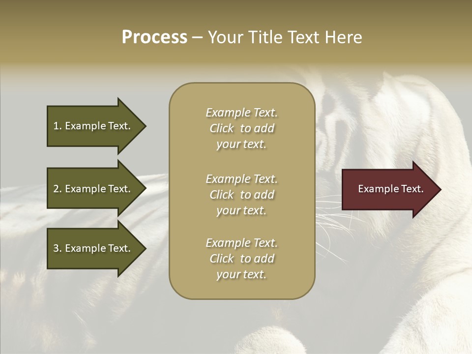 Humor Per On Human PowerPoint Template