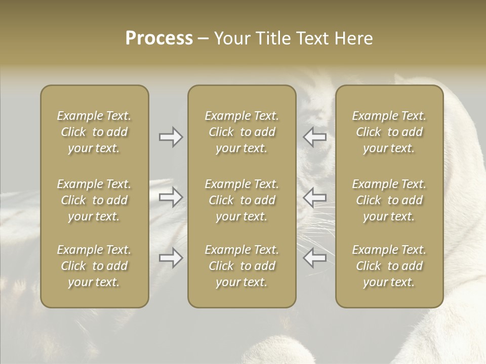 Humor Per On Human PowerPoint Template