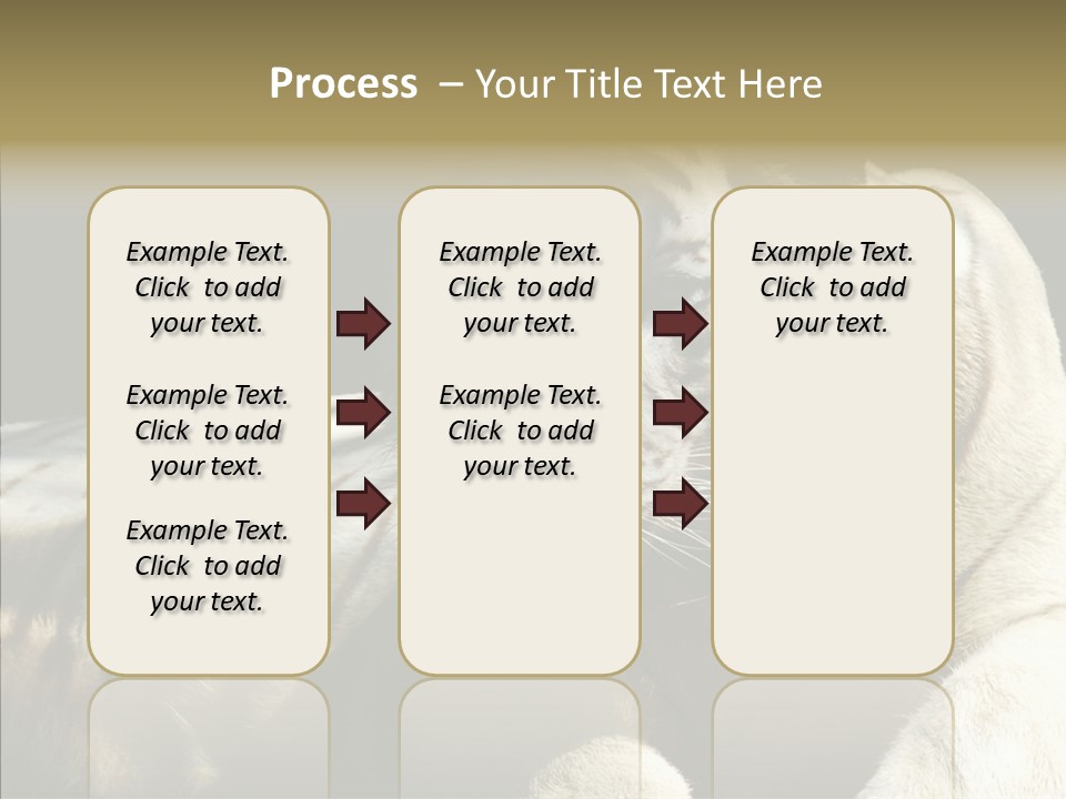 Humor Per On Human PowerPoint Template