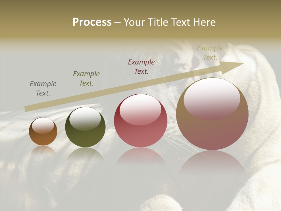 Humor Per On Human PowerPoint Template