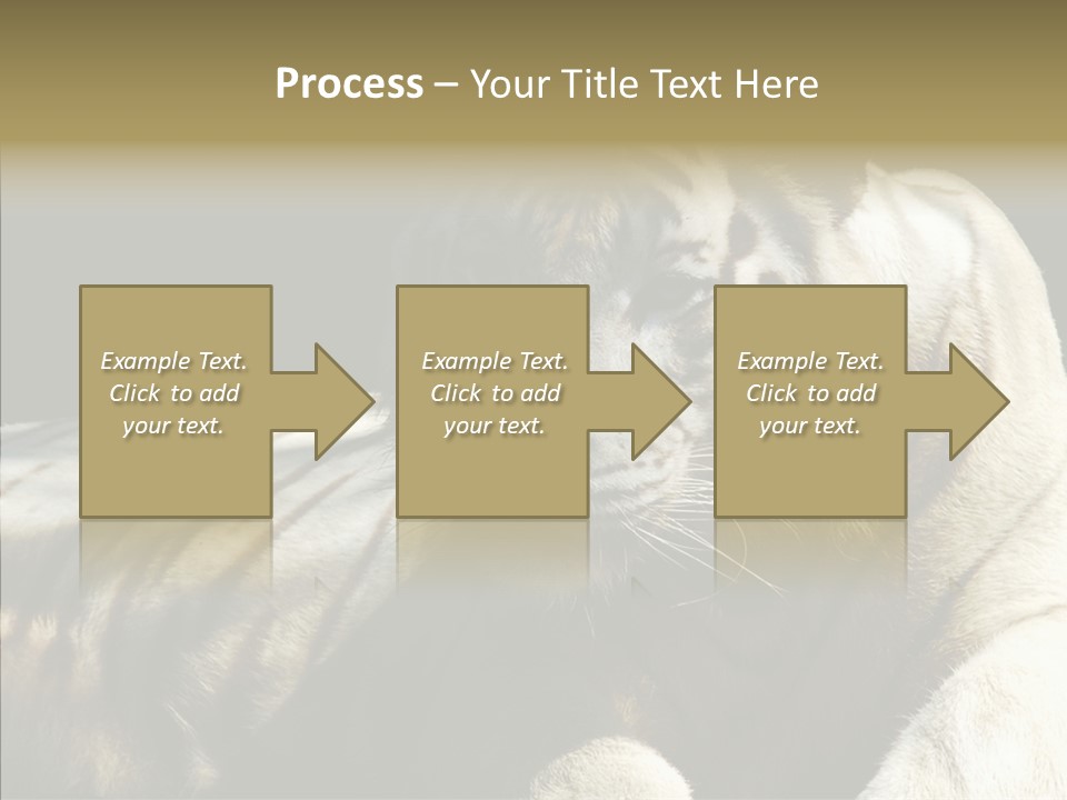 Humor Per On Human PowerPoint Template