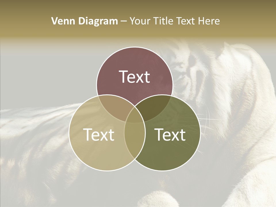 Humor Per On Human PowerPoint Template