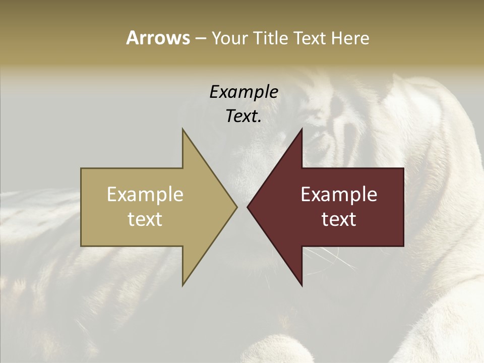 Humor Per On Human PowerPoint Template