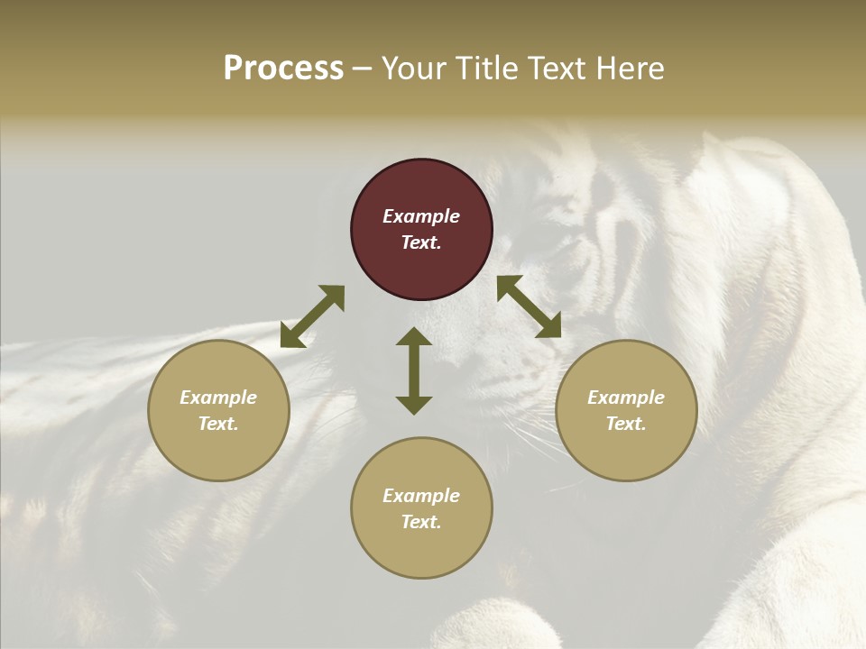 Humor Per On Human PowerPoint Template