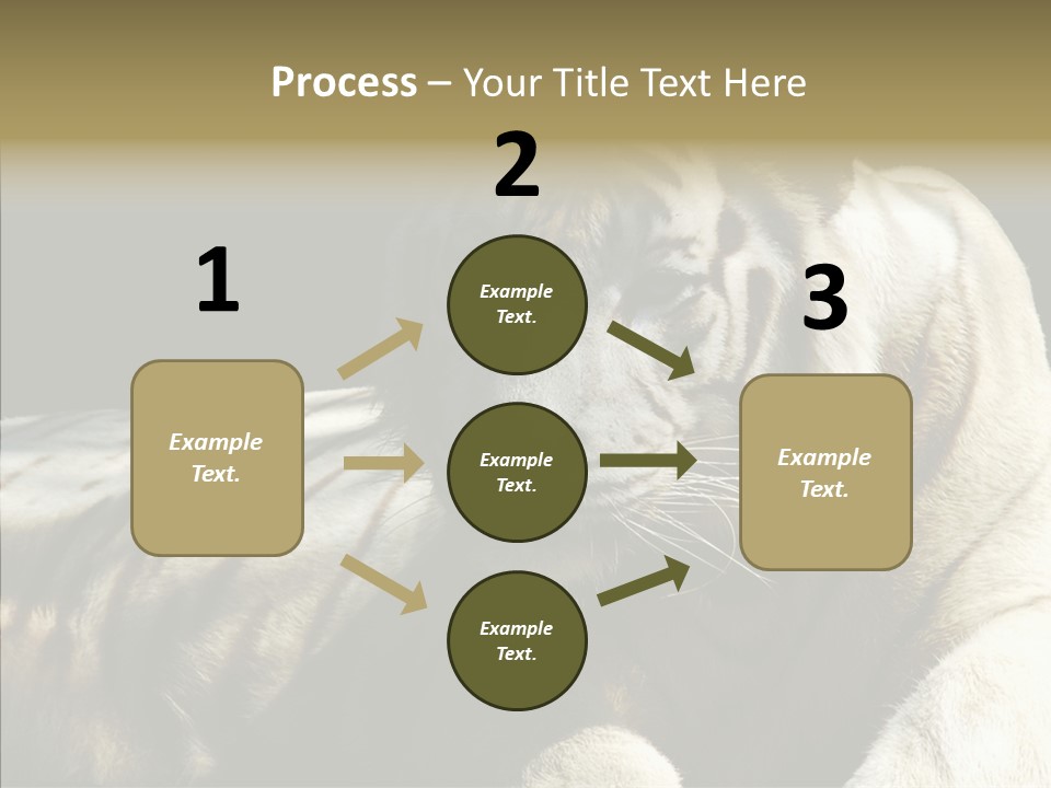 Humor Per On Human PowerPoint Template