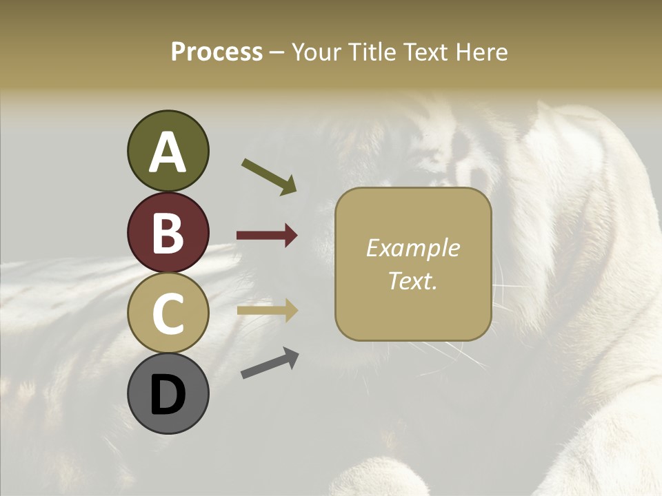 Humor Per On Human PowerPoint Template