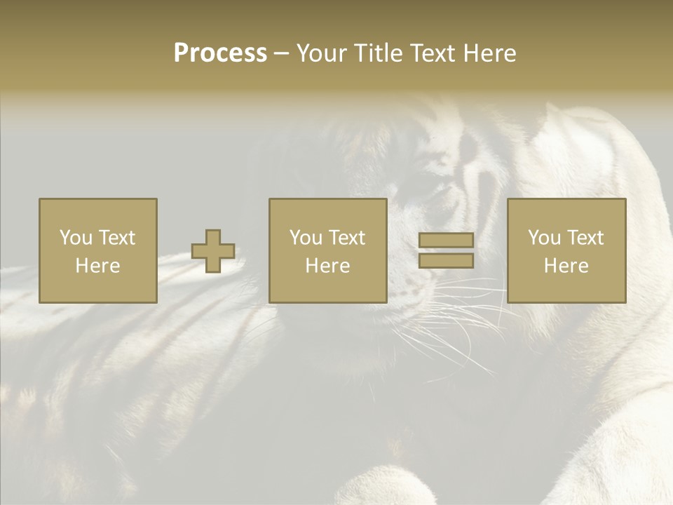 Humor Per On Human PowerPoint Template